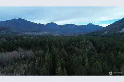 145 Div 5 Big River Boulevard W, Deming, WA 98244 - Photo 24