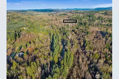 0 US Hwy 12, Mossyrock, WA 98564 - Photo 6