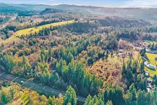 0 US Hwy 12, Mossyrock, WA 98564 - Photo 1