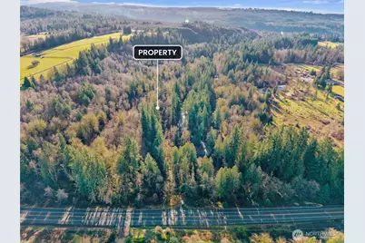 0 US Hwy 12, Mossyrock, WA 98564 - Photo 4