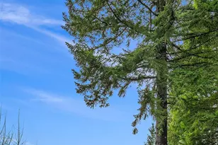 110 Mountain View Dr, Packwood, WA 98361 - Photo 2