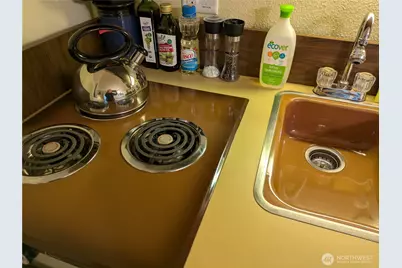 10433 Mount Baker Highway #1005A, Glacier, WA 98244 - Photo 10