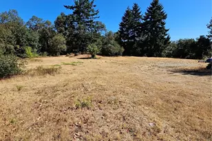 3225 41st St NE, Tacoma, WA 98422 - Photo 10