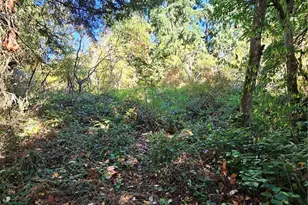 3225 41st St NE, Tacoma, WA 98422 - Photo 14