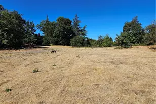 3225 41st St NE, Tacoma, WA 98422 - Photo 16