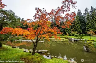 919 23rd Ave E, Seattle, WA 98112 - Photo 34