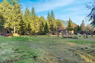 115 1st Ave, Randle, WA 98377 - Photo 36