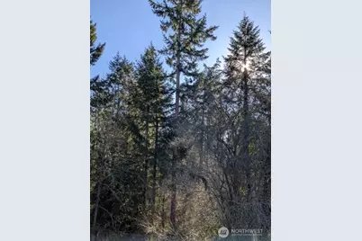 3435 SE Auburn Way S #48, Auburn, WA 98092 - Photo 10