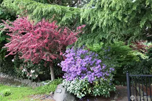 10701 SE 293rd St, Auburn, WA 98092 - Photo 32