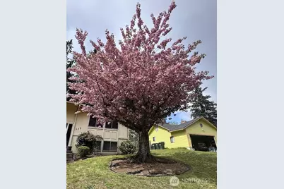 333 Wildcat Street SE, Lacey, WA 98503 - Photo 38