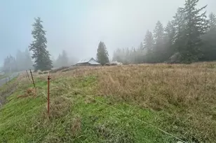 3503 NW Mountain View Rd, Silverdale, WA 98383 - Photo 6