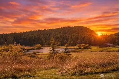 1062 Wold Road, Friday Harbor, WA 98250 - Photo 38