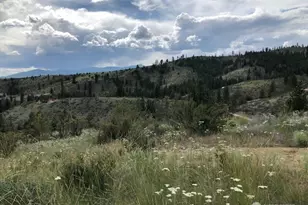 1478 Lodge Pole Rd, Chelan, WA 98816 - Photo 38