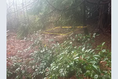 16018 229th Street E, Graham, WA 98338 - Photo 8