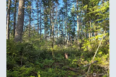 2 Xxx Sand Dollar Road W, Bremerton, WA 98312 - Photo 26