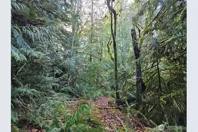 2 Xxx Sand Dollar Road W, Bremerton, WA 98312 - Photo 12