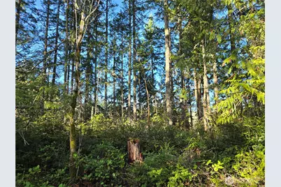 2 Xxx Sand Dollar Road W, Bremerton, WA 98312 - Photo 28