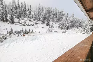 74 Erste St, Snoqualmie Pass, WA 98068 - Photo 12