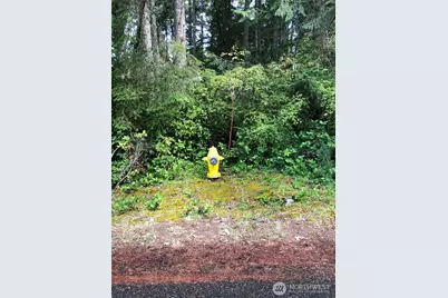 11419 Leschi Circle, Anderson Island, WA 98303 - Photo 2