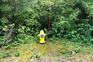 11419 Leschi Cir, Anderson Island, WA 98303 - Photo 2