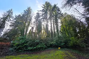 101 W Harvard Ave, Shelton, WA 98584 - Photo 26