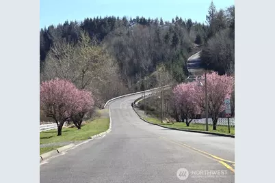 20702 190th Avenue E, Orting, WA 98360 - Photo 26
