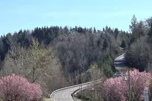 20702 190th Ave E, Orting, WA 98360 - Photo 26