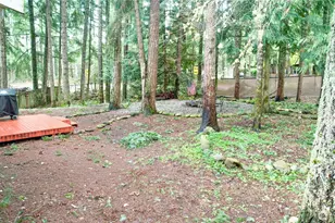 18711 Sylvan Dell Ct SE, Yelm, WA 98597 - Photo 28