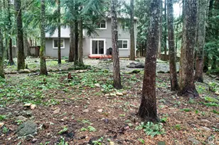 18711 Sylvan Dell Ct SE, Yelm, WA 98597 - Photo 26