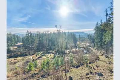 41524 Meridian E, Eatonville, WA 98328 - Photo 22