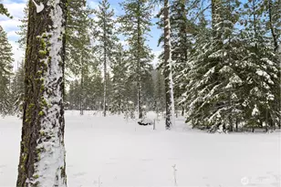 1131 Domerie Park Loop, Cle Elum, WA 98922 - Photo 32