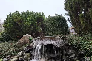 3200 Shelly Hill Rd, Mount Vernon, WA 98274 - Photo 34