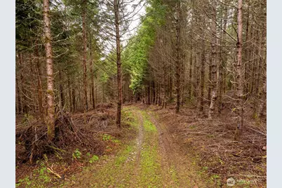 216 Xx Zenkner Valley Road SW, Centralia, WA 98531 - Photo 10