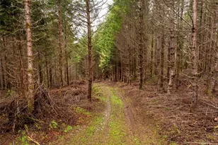216 Xx Zenkner Valley Road SW, Centralia, WA 98531 - Photo 10