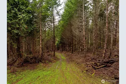 216 Xx Zenkner Valley Road SW, Centralia, WA 98531 - Photo 8