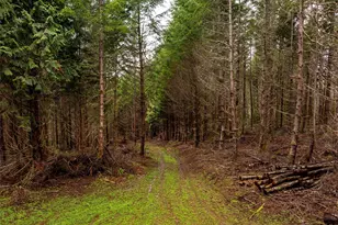 216 Xx Zenkner Valley Road SW, Centralia, WA 98531 - Photo 8