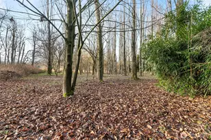 7406 Oat Coles Rd, Everson, WA 98247 - Photo 32