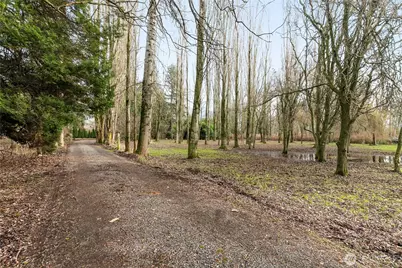 7406 Oat Coles Road, Everson, WA 98247 - Photo 4