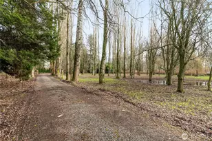 7406 Oat Coles Rd, Everson, WA 98247 - Photo 4