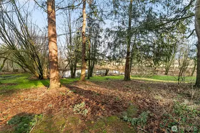 7406 Oat Coles Road, Everson, WA 98247 - Photo 40