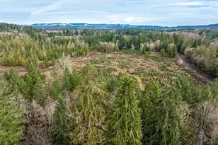 14 Xx Spencer Rd, Onalaska, WA 98570 - Photo 16