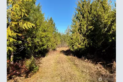 14 Xx Spencer Road, Onalaska, WA 98570 - Photo 10