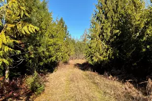 14 Xx Spencer Rd, Onalaska, WA 98570 - Photo 10