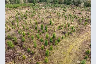 14 Xx Spencer Road, Onalaska, WA 98570 - Photo 6