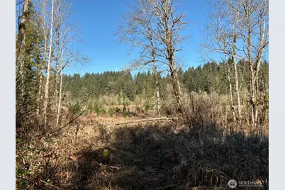 14 Xx Spencer Road, Onalaska, WA 98570 - Photo 12