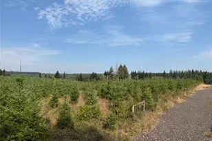 14 Xx Spencer Rd, Onalaska, WA 98570 - Photo 4