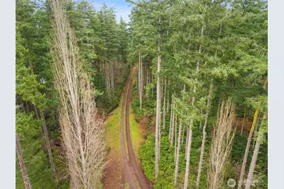 824 Schwartz Road, Nordland, WA 98358 - Photo 6