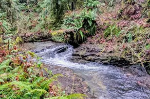 2549 Hazel Dell Rd, Castle Rock, WA 98611 - Photo 30