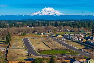 16559 Ireland Ave SE, Yelm, WA 98597 - Photo 28