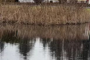 930 Trosper Road SW, Tumwater, WA 98512 - Photo 4